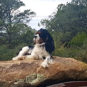 Meet your Posher, Cassandra